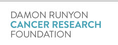 Damon Runyon Logo