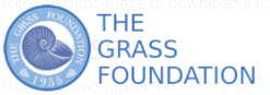 Grass Foundation
