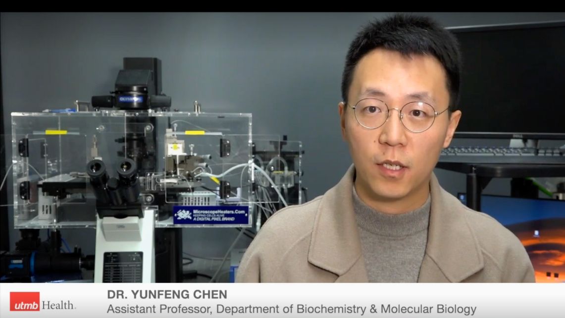 Dr. Yunfeng Chen, assistnat professor, department of Biochemistry & molecular biology