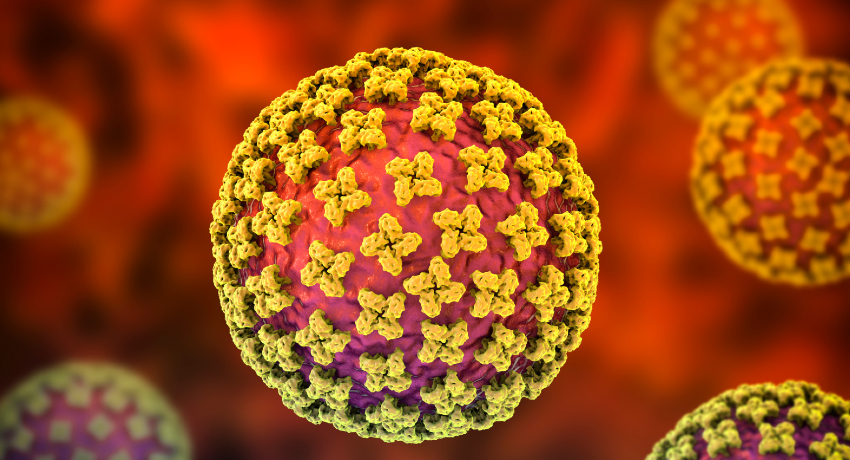 3D illustration of a spherical virus particle with yellow spike‑like protrusions on a red and purple surface, set against an orange background.